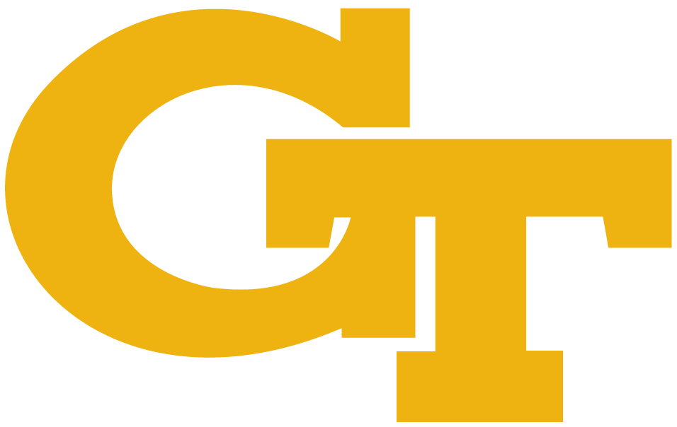 Georgia Tech Yellow Jackets 1969-Pres Alternate Logo v2 iron on transfers for T-shirts